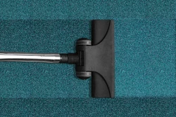 12 mejores limpiadores de alfombras Frieze