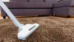 La limpieza de alfombras es segura para las mascotas